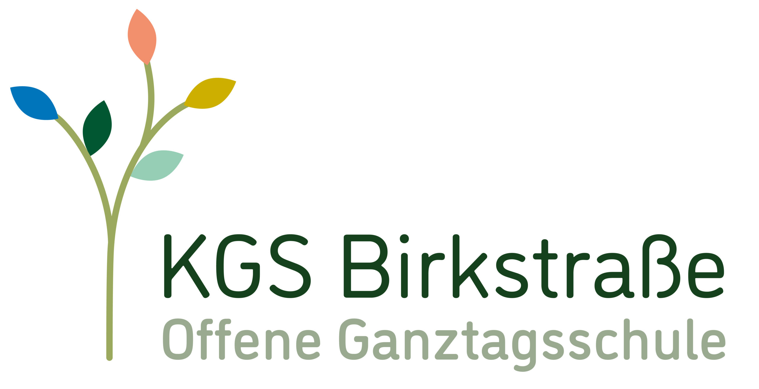 KGS Birkstraße